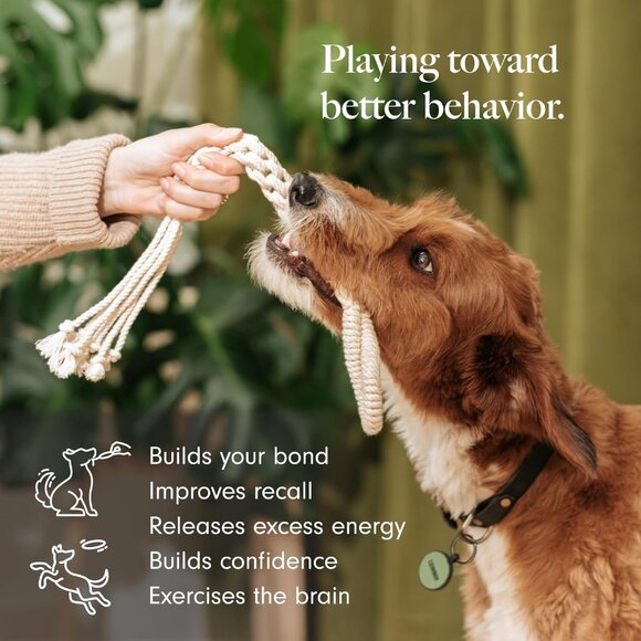 Natural, Non-Toxic Cotton Rope Toys for Small and Medium Dogs | 2-Pack | Include - Picture 2 of 6